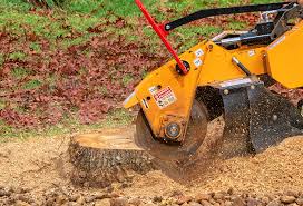Best Weed Control  in Picnic Point, WA